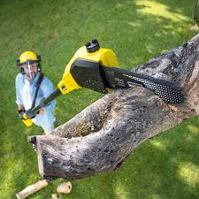 Best Commercial Tree Services  in Ephrata, WA